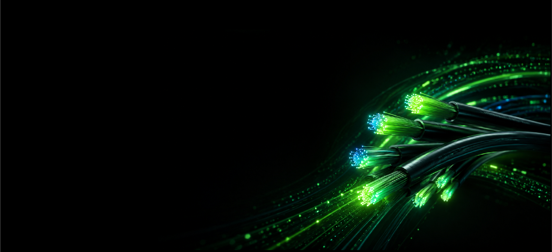 Dedicated Fibre versus Share Internet